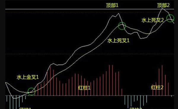 最新调整！这两类未成年人可依法执行拘留