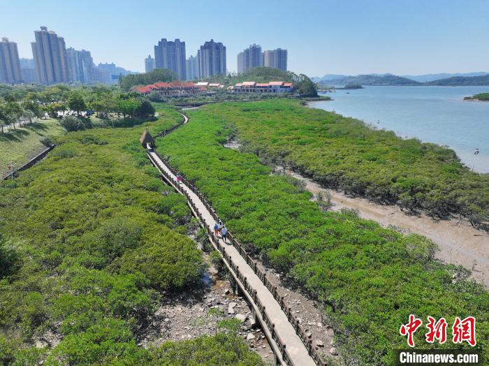 广西创新优质资源供给助力打造文化旅游强区