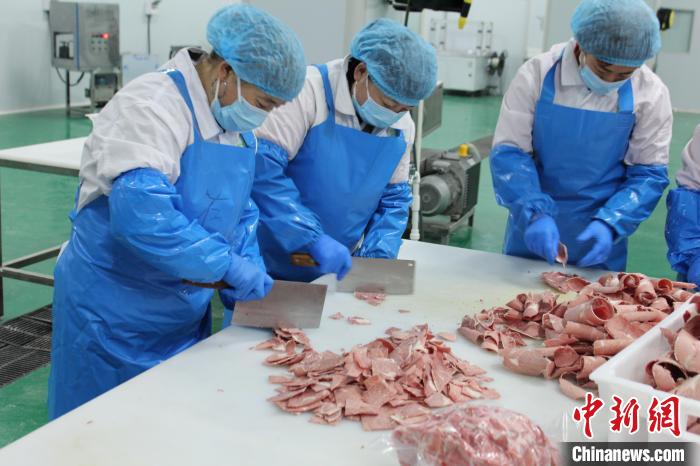 宁夏彭阳:振兴路上“牛劲”十足