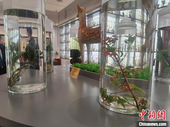 （身边的变化）河南南阳：一个个产业集群挑起县域经济发展“大梁”