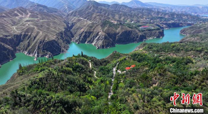 甘肃永靖“大应急”体系缓解自然威胁 荒山变林海衍优质特产