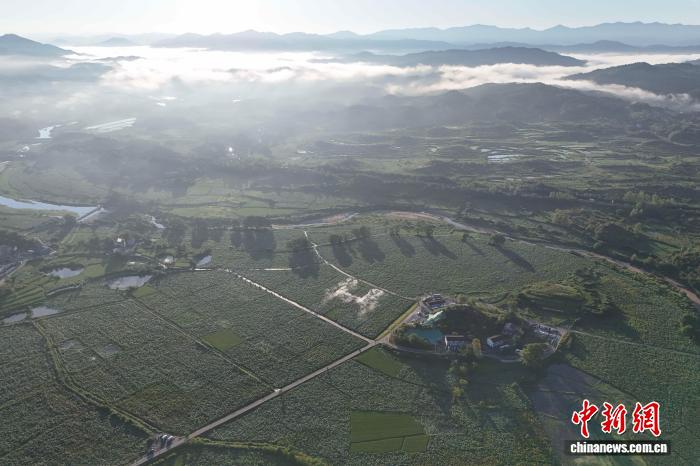 赣江观澜：这个中部山区县如何将“生态绿”变“经济金”？,赣江观澜：这个中部山区县如何将“生态绿”变“经济金”？