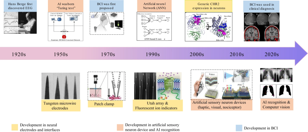 神经元设备和脑机接口有何渊源？