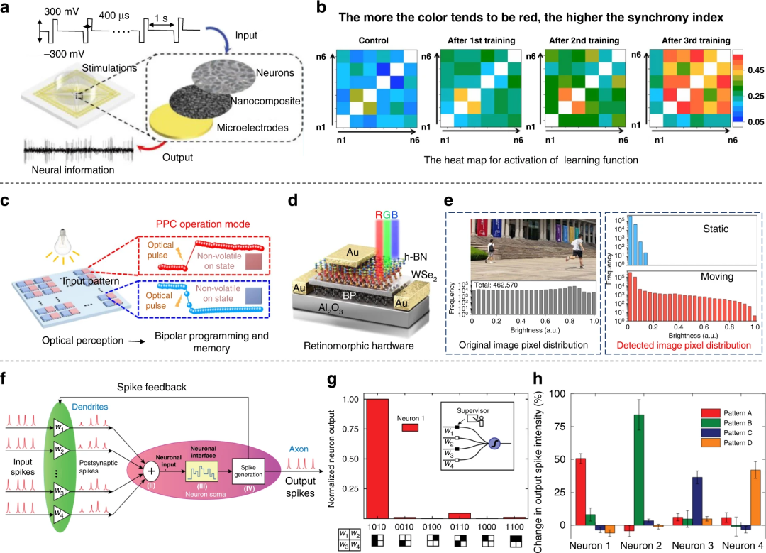 神经元设备和脑机接口有何渊源?